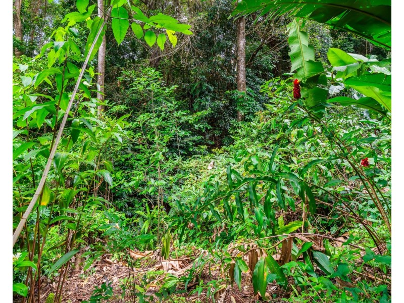 14 Jagera Close, Kamerunga QLD 4870