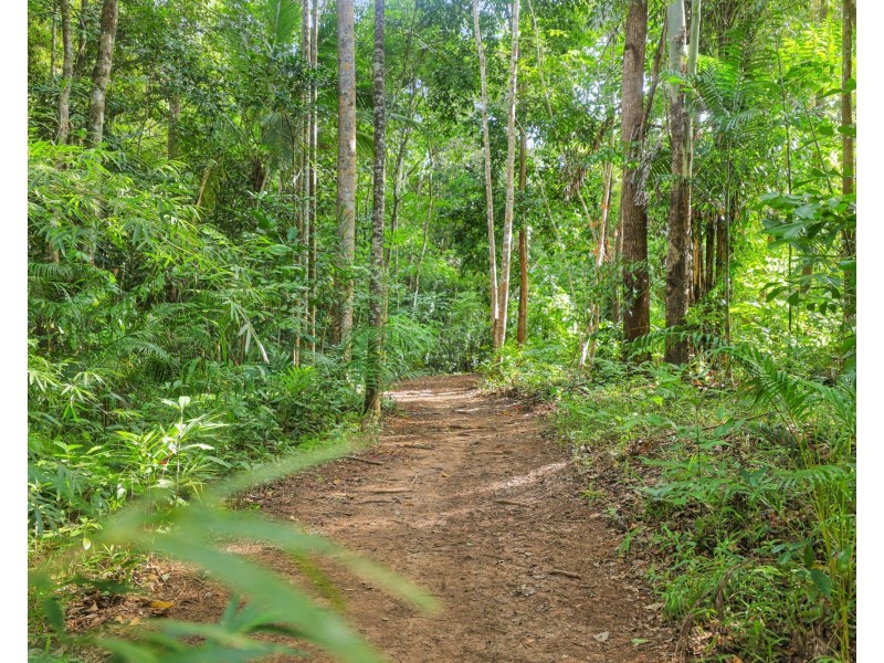 63 Vico Street, Gordonvale QLD 4865