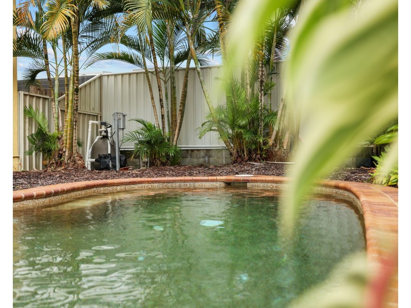 6/27 Balaclava Road, Earlville QLD 4870