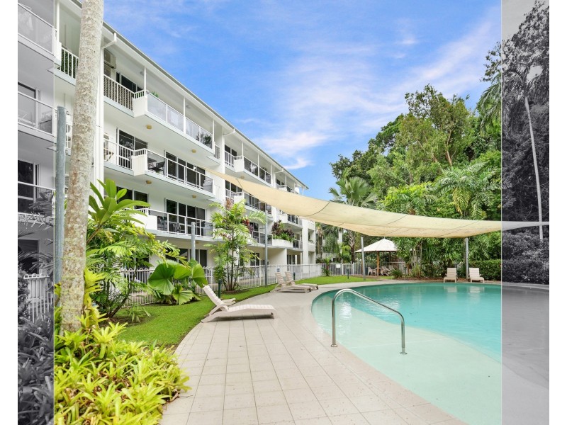 215/305-341 Coral Coast Drive, Palm Cove QLD 4879