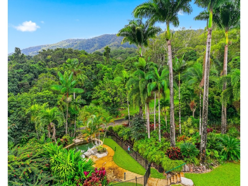 46 Gallet Road, Little Mulgrave QLD 4865