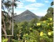 55-61 Hickey Close, Gordonvale QLD 4865