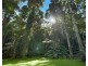 376 Kruckow Road, East Russell QLD 4861