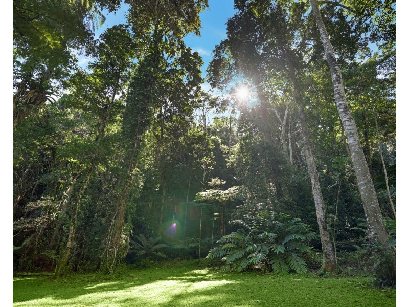 376 Kruckow Road, East Russell QLD 4861