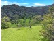376 Kruckow Road, East Russell QLD 4861