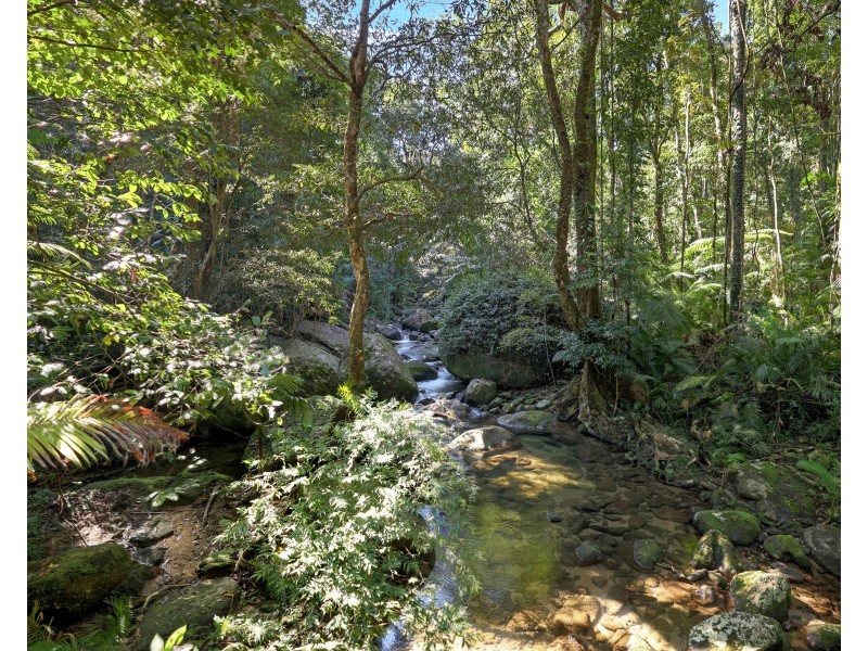 376 Kruckow Road, East Russell QLD 4861