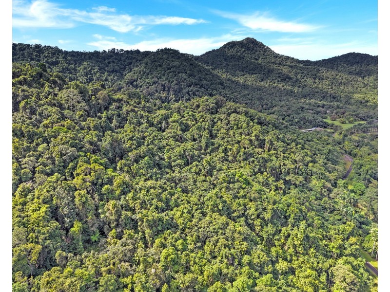 376 Kruckow Road, East Russell QLD 4861
