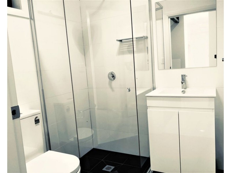 12A Lillas Place, Minto NSW 2566