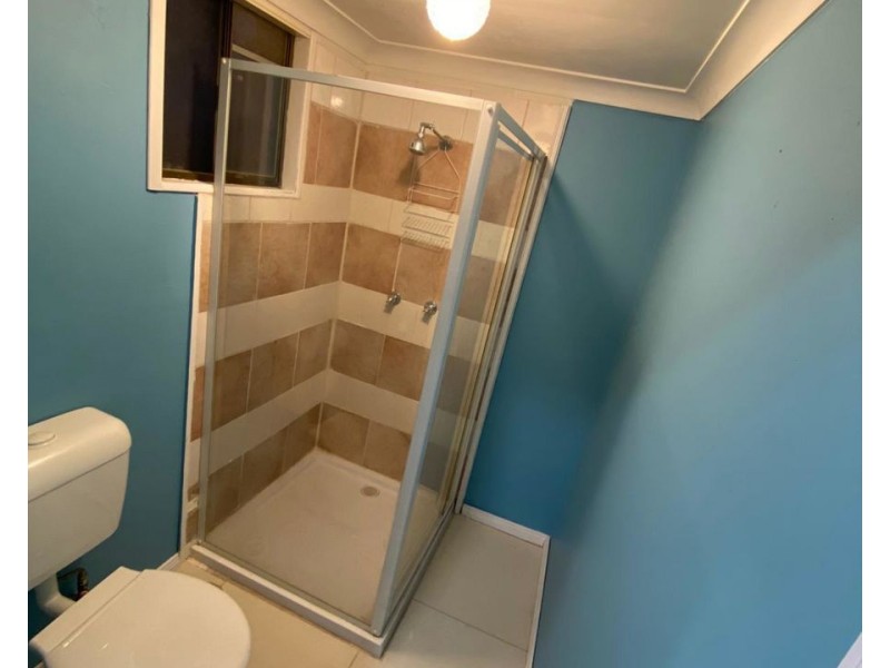 3A Argyle Place, Macquarie Fields NSW 2564