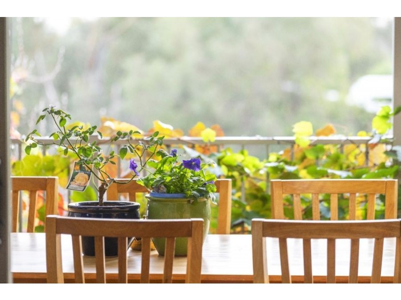 317 East Street, East Albury NSW 2640