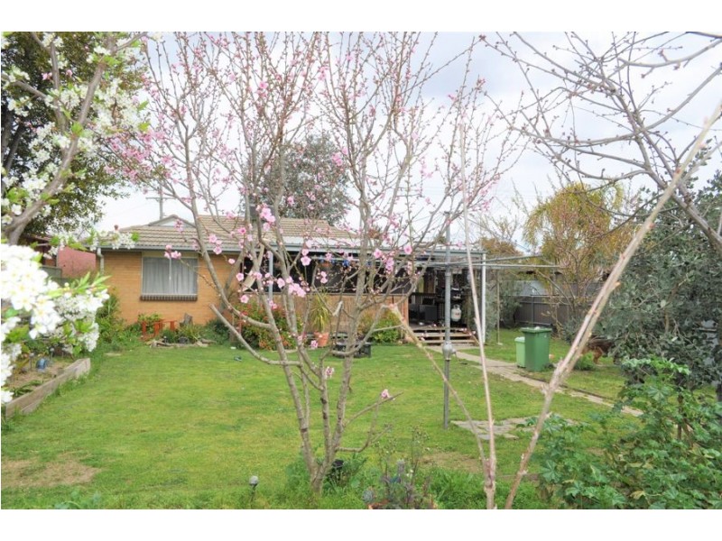 538 Douglas Road, Lavington NSW 2641