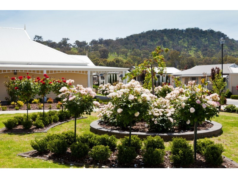 64/639 Kemp Street, Lavington NSW 2641