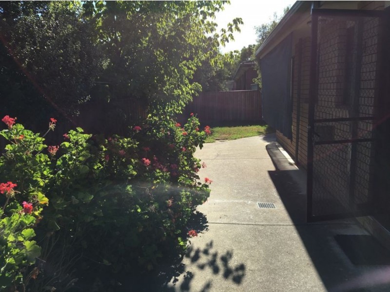 3/191 Baranbale Way, Lavington NSW 2641