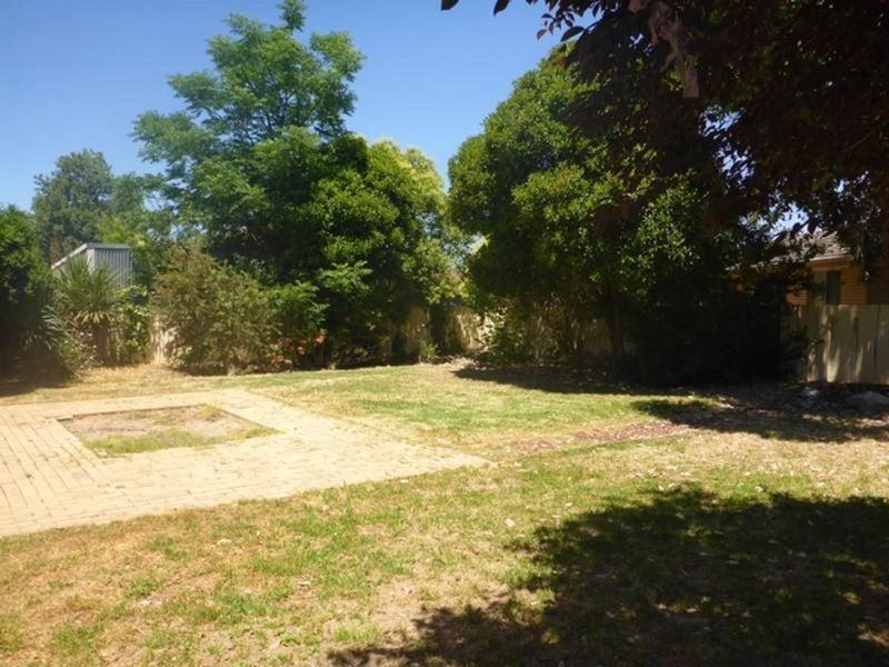 569 Prune Street, Lavington NSW 2641