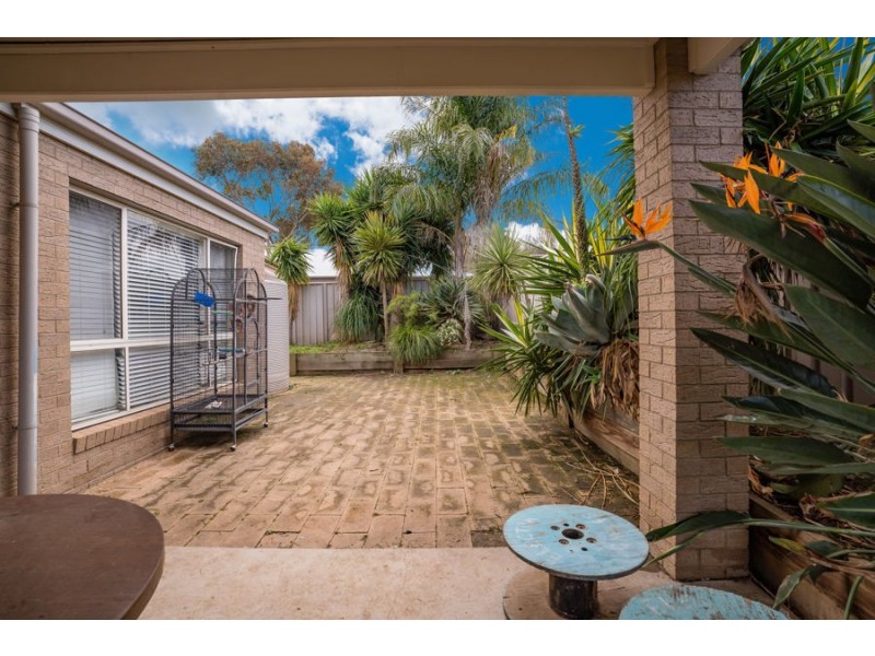 11 Kurrajong Crescent, West Albury NSW 2640