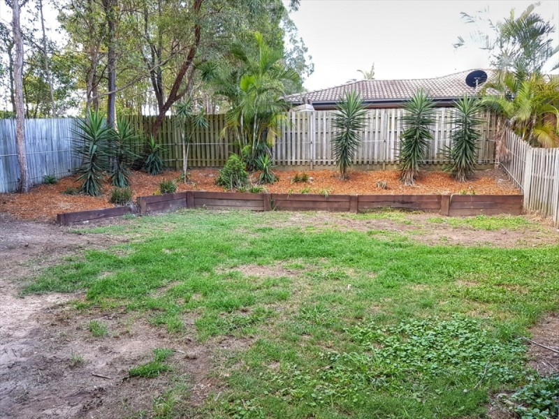16 Ferngrove Avenue, Upper Coomera QLD 4209