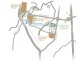 Morayfield QLD 4506