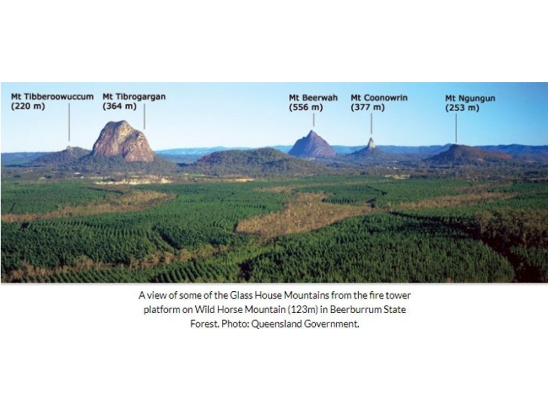 Glass House Mountains QLD 4518