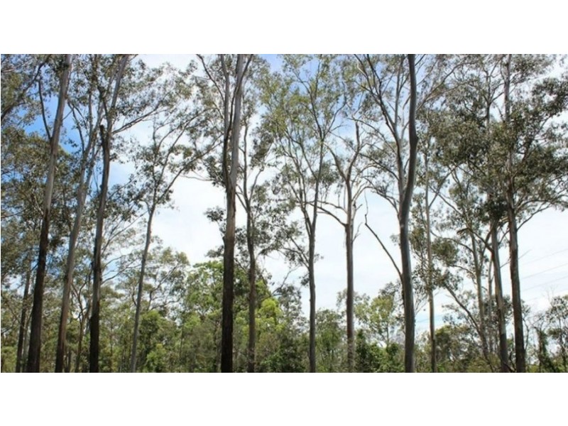 Kingston QLD 4114