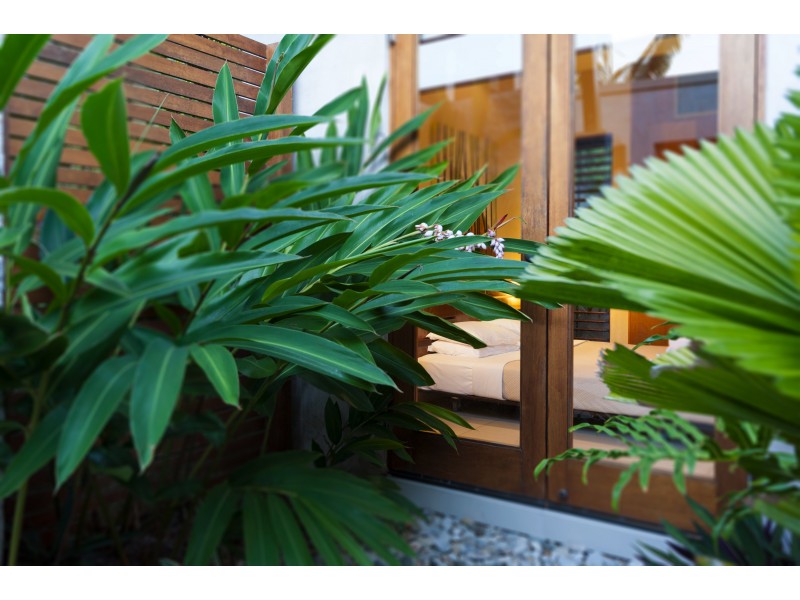 No.11 Bale Drive, Port Douglas QLD 4877