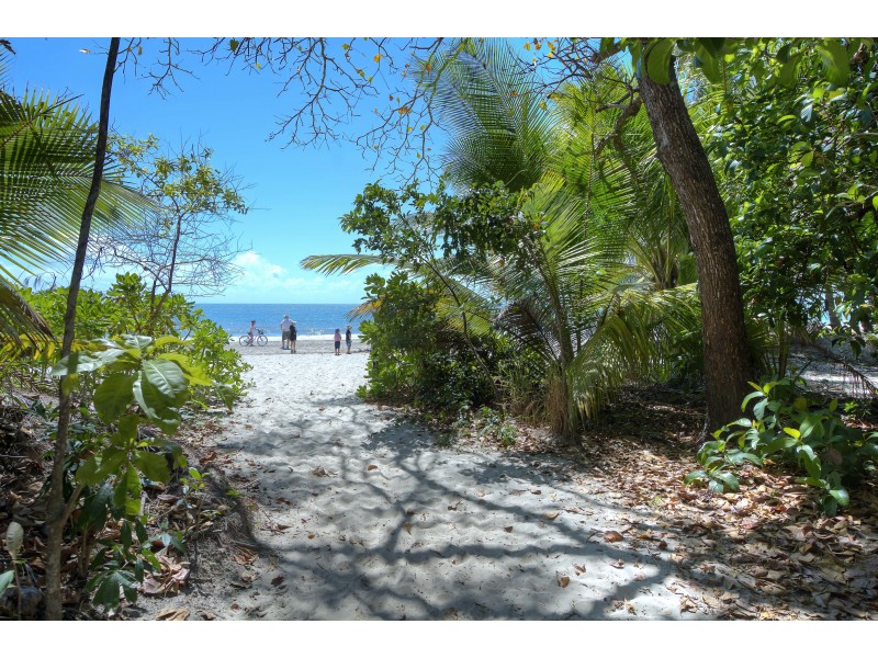 9 ‘Plantation House’ 15 Andrews Close, Port Douglas QLD 4877