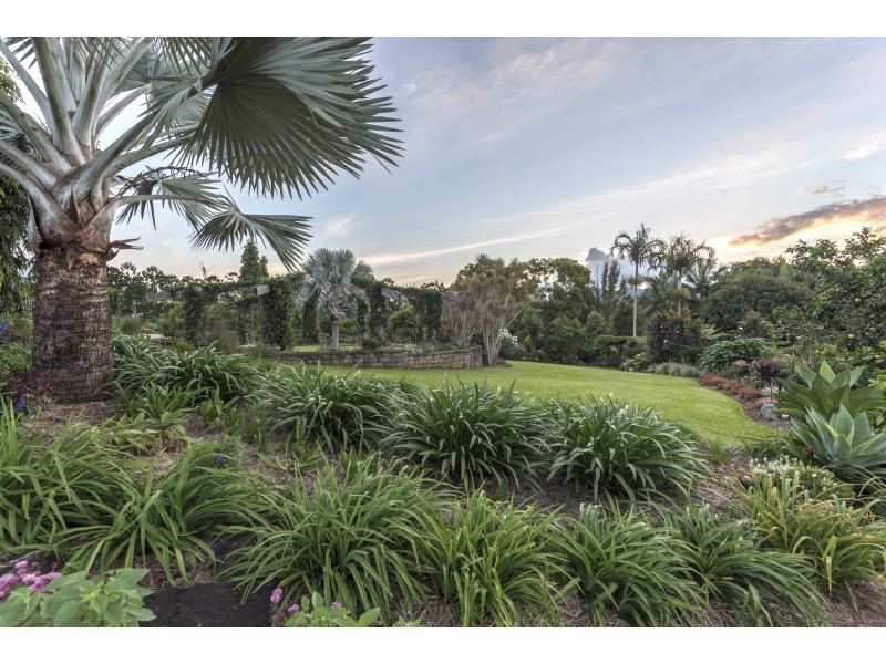 1253 Mossman Mount Molloy Rd, Julatten QLD 4871