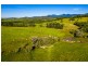 1253 Mossman Mount Molloy Rd, Julatten QLD 4871
