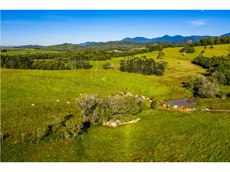 1253 Mossman Mount Molloy Rd, Julatten QLD 4871