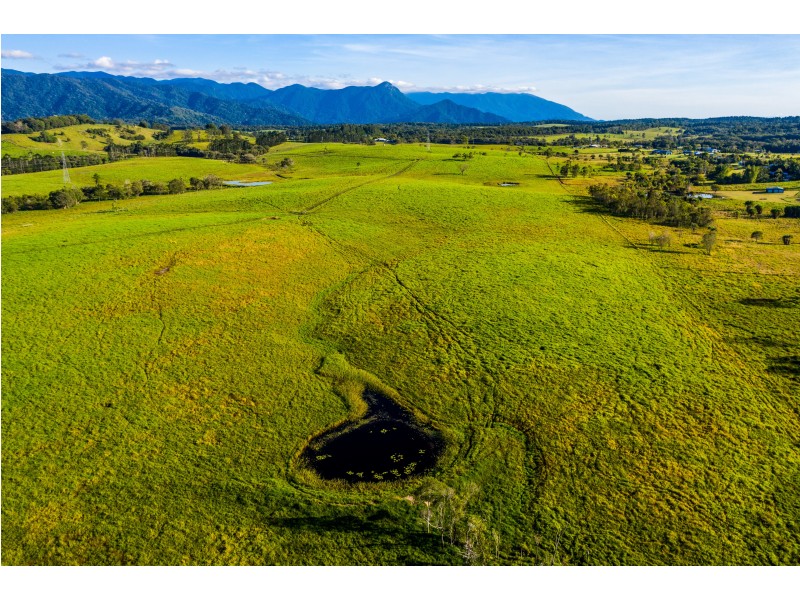 1253 Mossman Mount Molloy Rd, Julatten QLD 4871