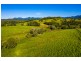1253 Mossman Mount Molloy Rd, Julatten QLD 4871