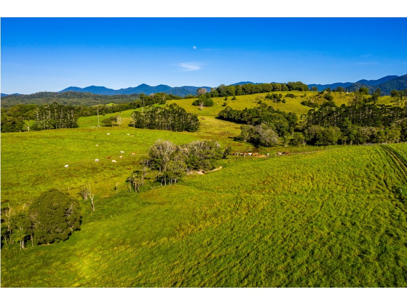 1253 Mossman Mount Molloy Rd, Julatten QLD 4871