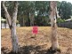 63 Milman Dr, Craiglie QLD 4877
