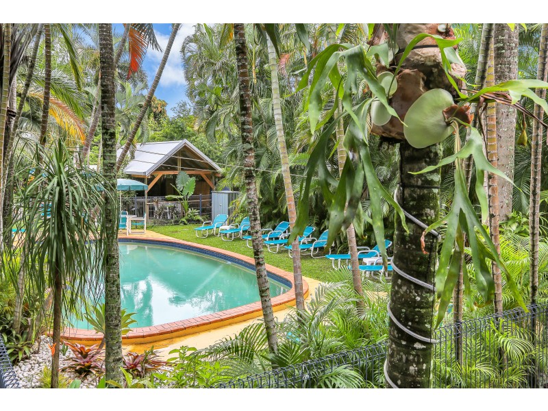 32 Veivers Rd, Palm Cove QLD 4879