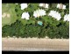 Mirage Villa 449 Pandanus Way South, Port Douglas QLD 4877