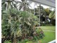 Mirage Villa 449 Pandanus Way South, Port Douglas QLD 4877