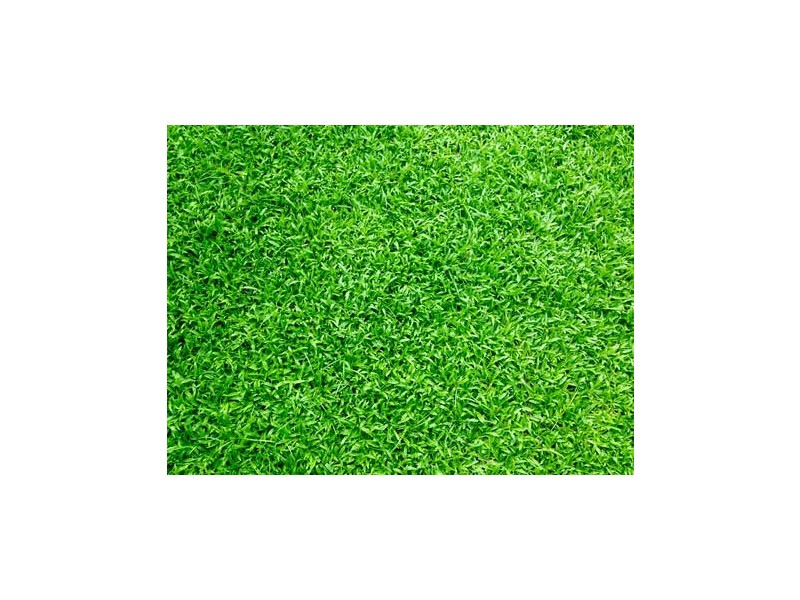 20/35 Victoria Parade, Mawson Lakes SA 5095