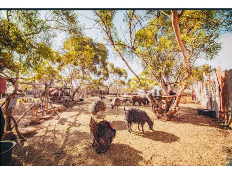 19042 Sturt Highway, Monash SA 5342