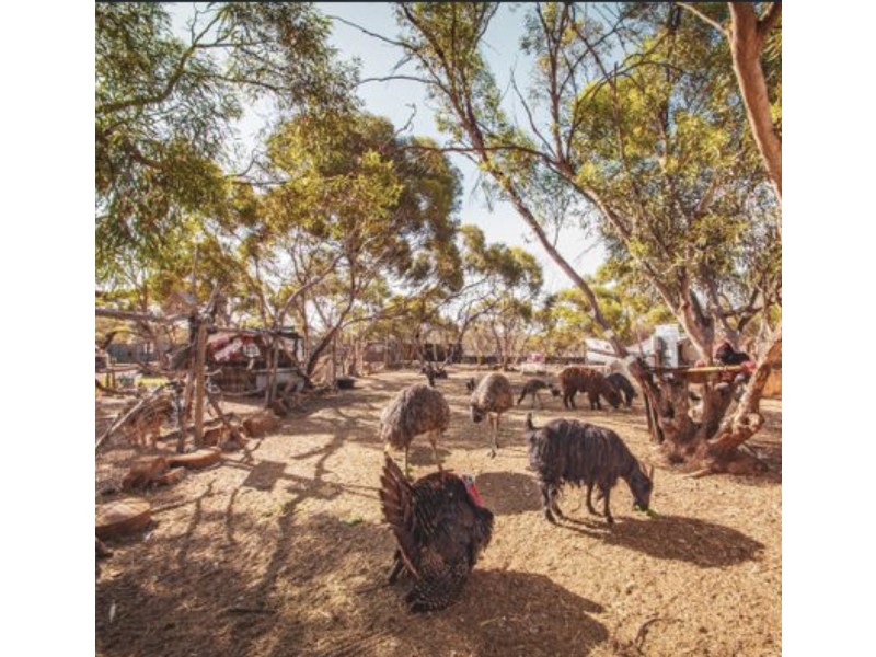19042 Sturt Highway, Monash SA 5342