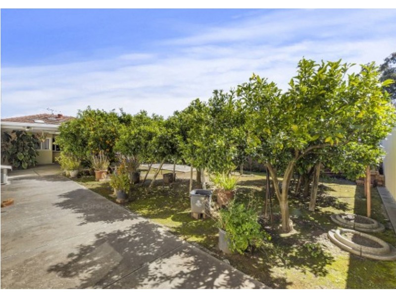 3 Munchenberg Avenue, Campbelltown SA 5074