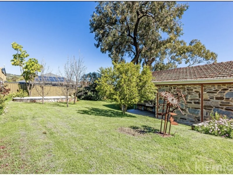 16 Hill Street, Burnside SA 5066