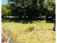 59 Arthur Street, Tranmere SA 5073