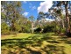 19 Illustrious Court, Callala Bay NSW 2540