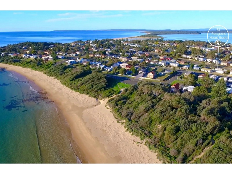 81 Penguins Head Road, Culburra Beach NSW 2540