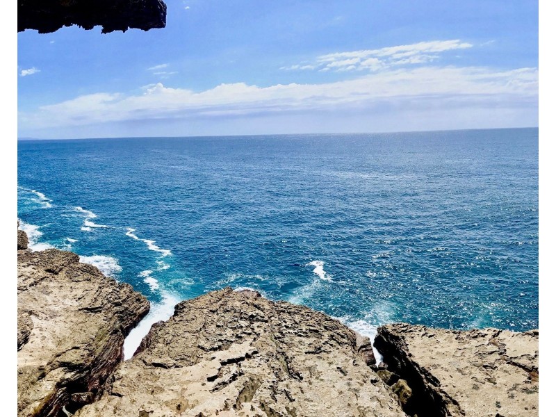 31 Gerringong Street, Currarong NSW 2540