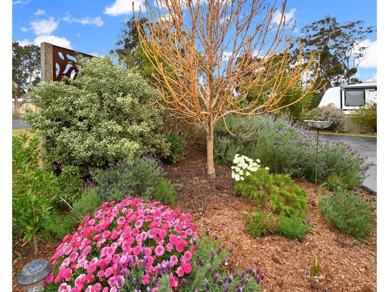 13 Callala Bay Road, Callala Bay NSW 2540