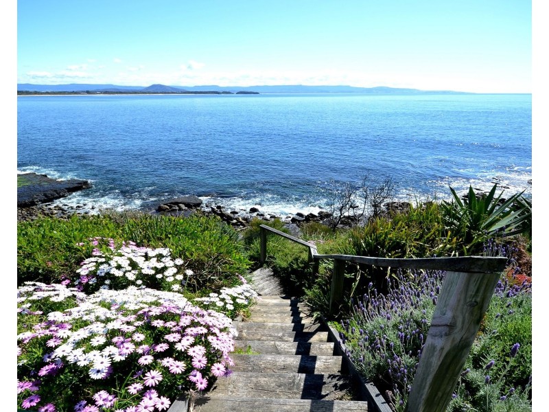 246 Penguins Head Road, Culburra Beach NSW 2540