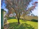 4 The Lake Circuit, Culburra Beach NSW 2540