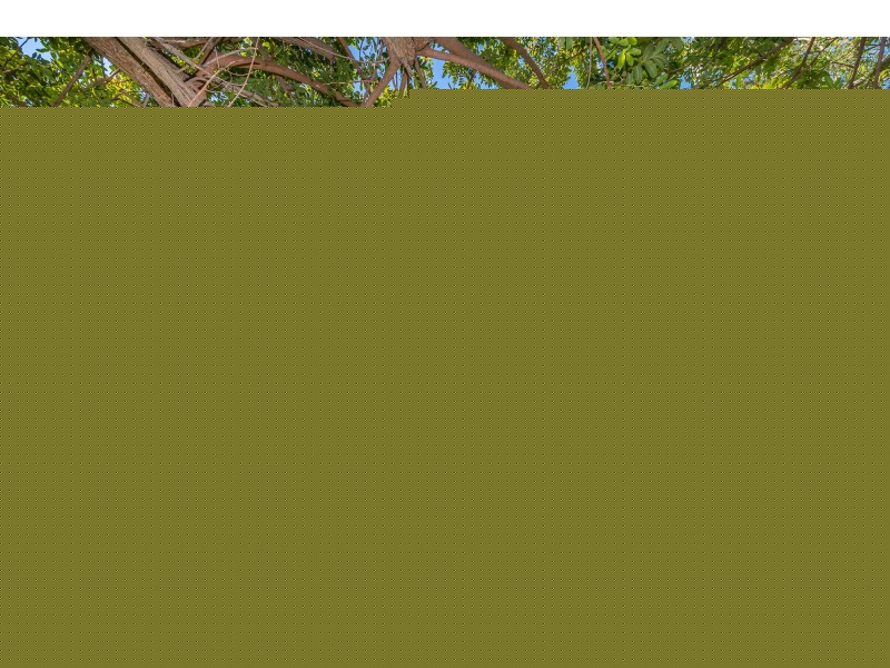 6 Nautical Court, Yanchep WA 6035