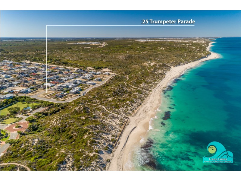 25 Trumpeter Parade, Yanchep WA 6035