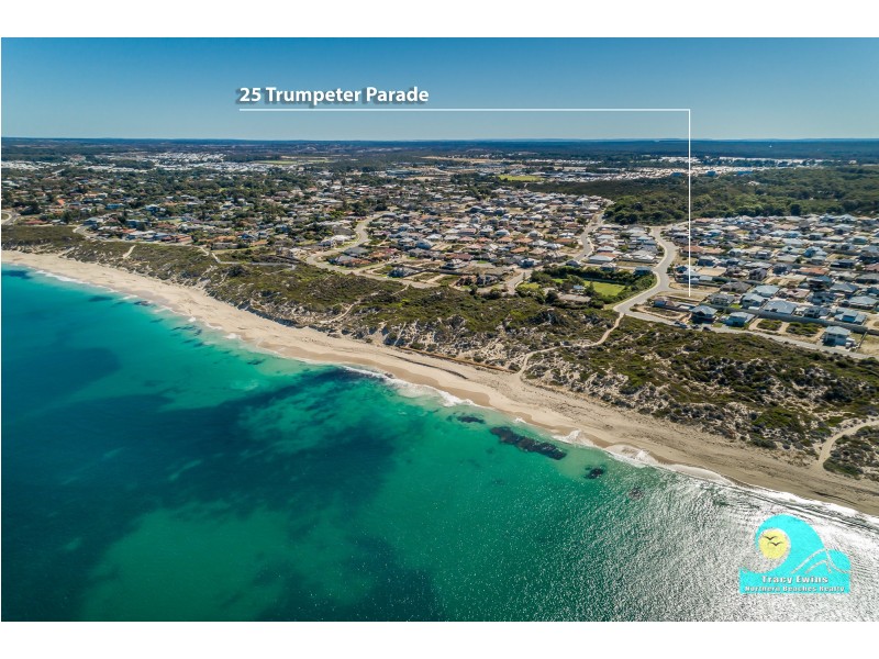 25 Trumpeter Parade, Yanchep WA 6035